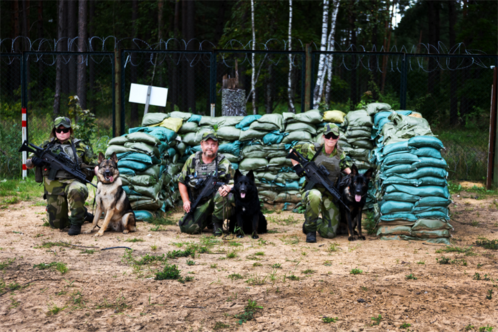 Webbild liggande (4)