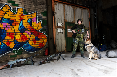 Webbild liggande (6)