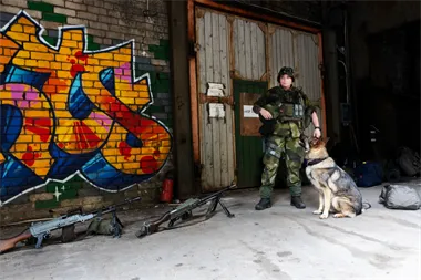 Webbild liggande (6)