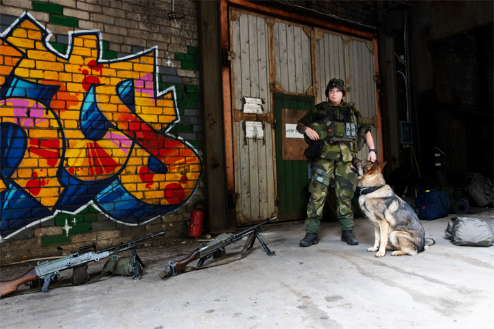 Webbild liggande (6)