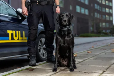 Webbild liggande (2)