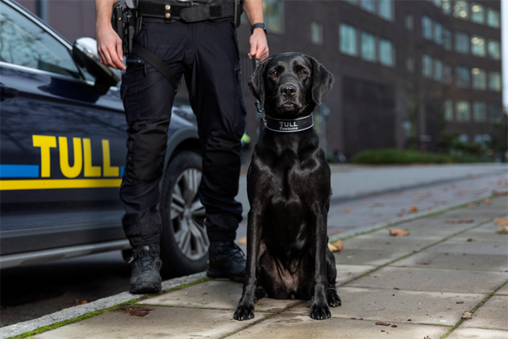 Webbild liggande (2)