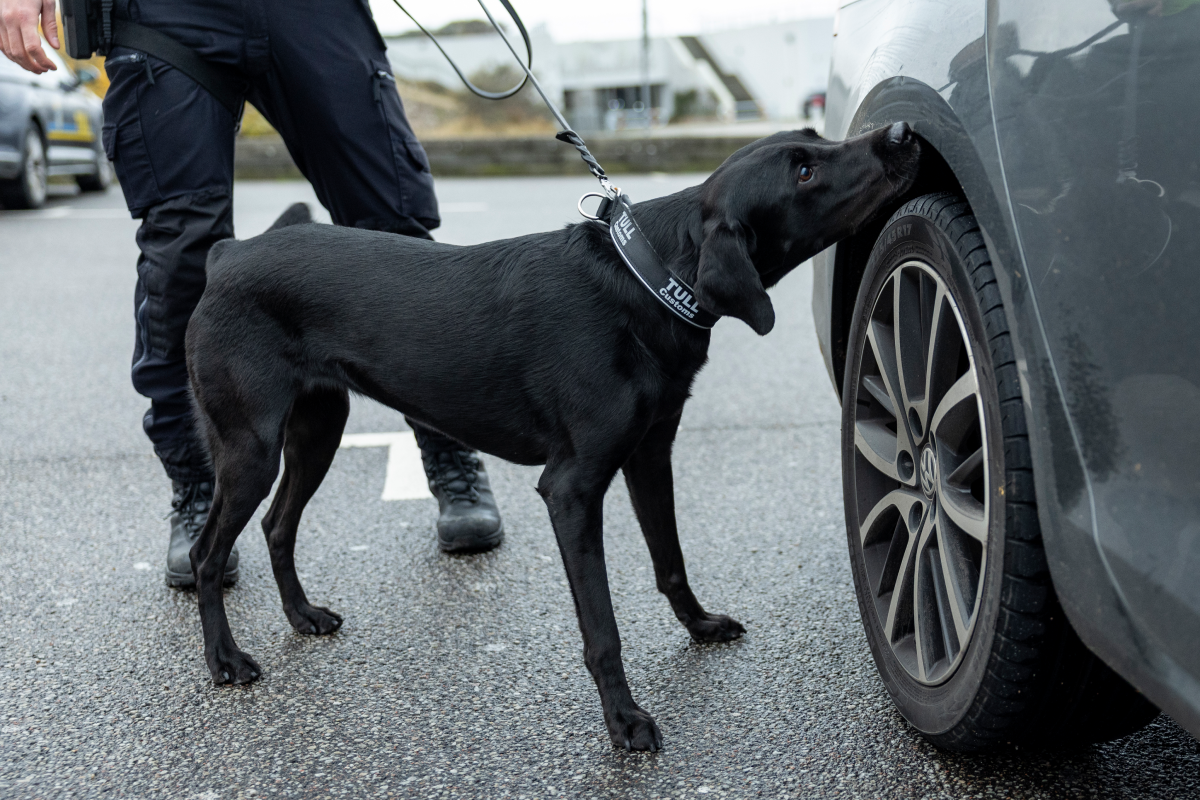 Webbild liggande (1)