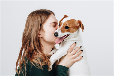 Webbild liggande (1)