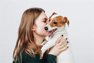 Webbild liggande (1)