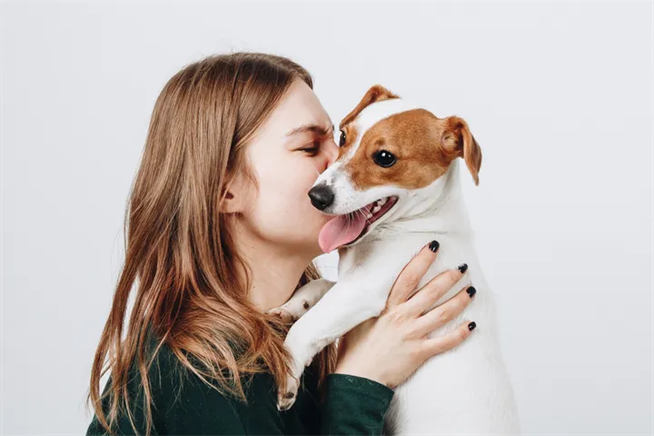 Webbild liggande (1)