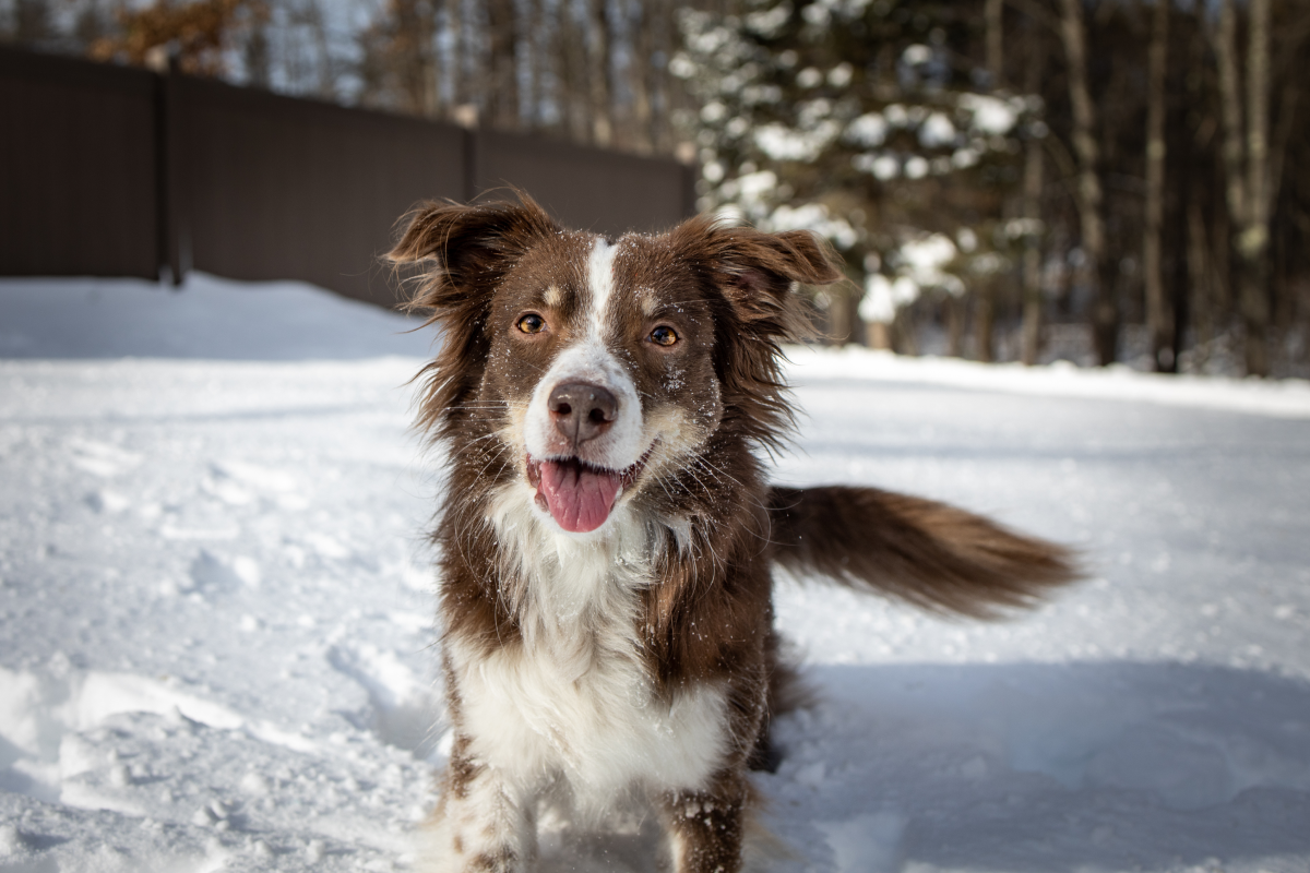 Webbild liggande (2)