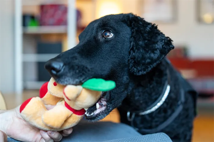 Webbild liggande (2)