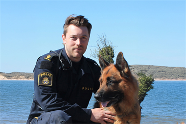 Webbild liggande (1) (kopia)