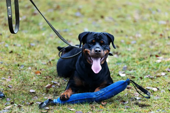 Webbild liggande (kopia)