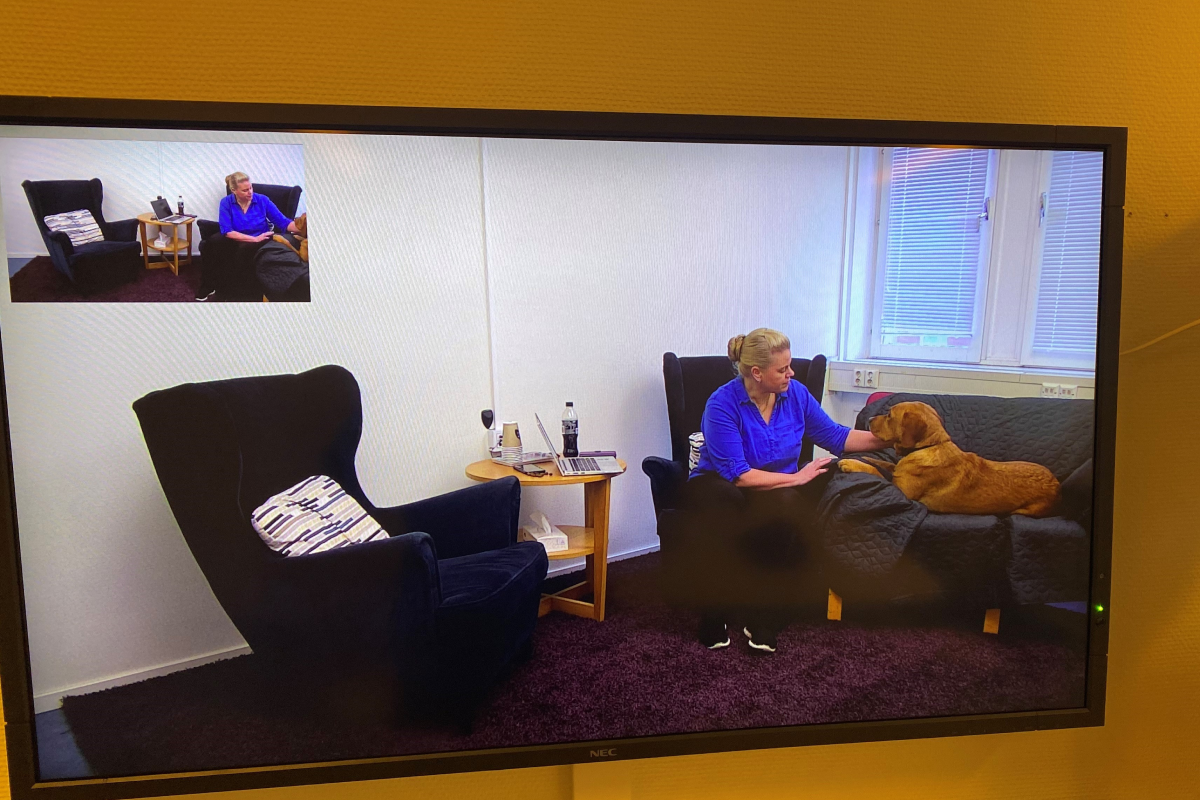 Maria och Mulle fo¨rho¨rsrum