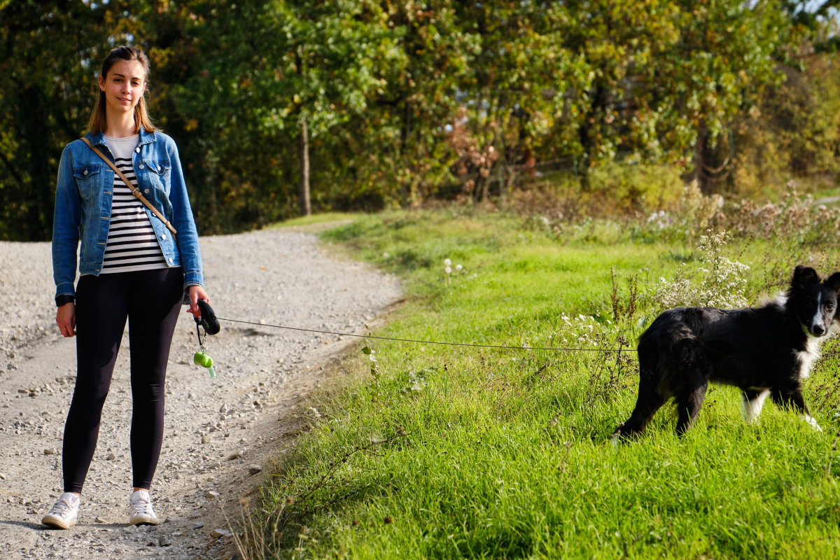 Webbild liggande (1)