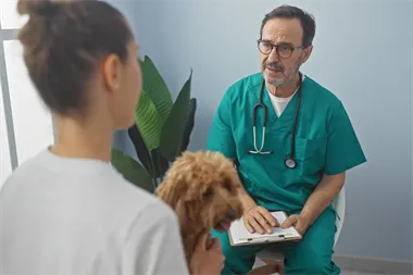 Webbild liggande (1)