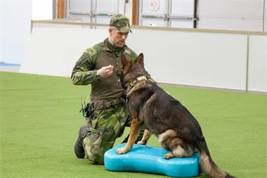 Webbild liggande (1)