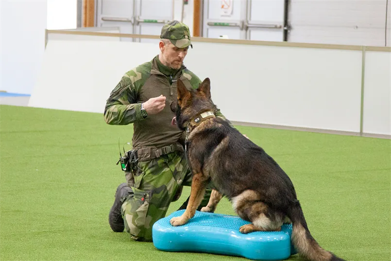 Webbild liggande (1)