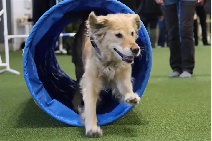 Webbild liggande (3)