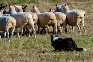 Webbild liggande (kopia)