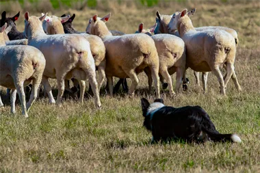 Webbild liggande (kopia)