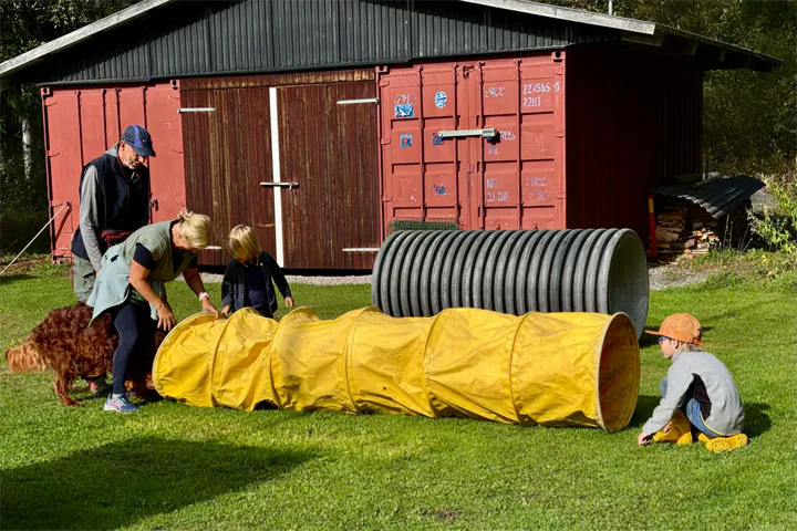 Webbild liggande (4)