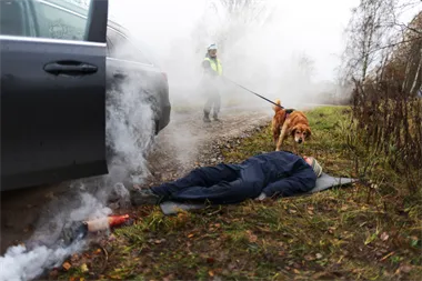 Webbild liggande (2)