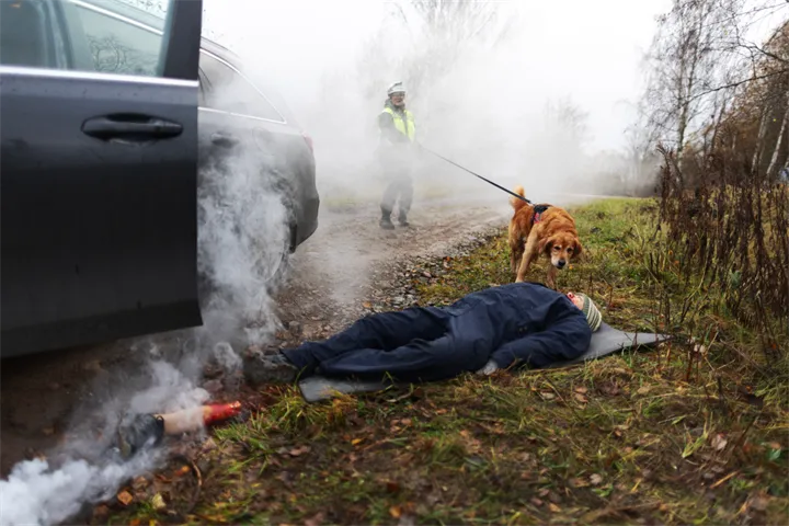 Webbild liggande (2)