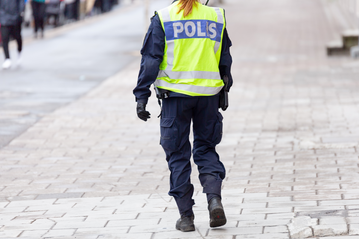 Webbild liggande (2)