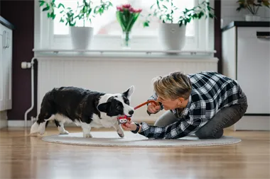 Webbild liggande (2)