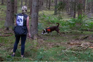 Sök1e