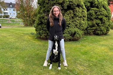 Webbild liggande (4)