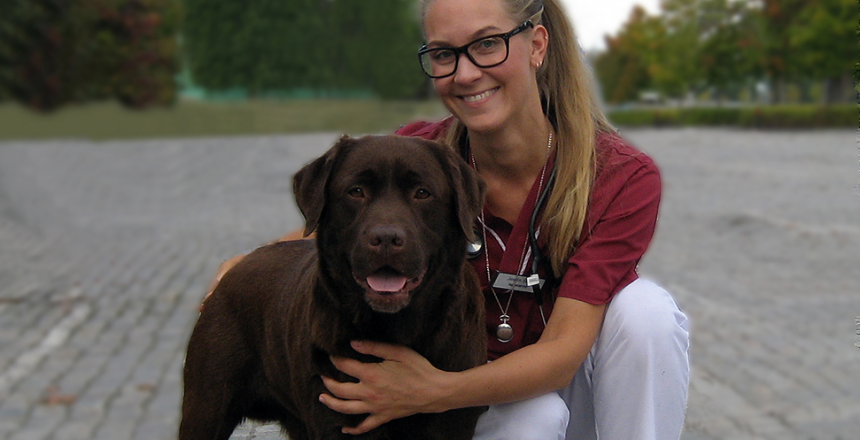 Redan lindrig övervikt kan påverka hunden