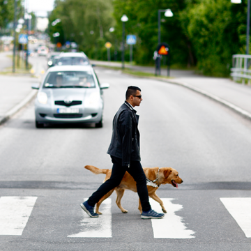 ”Flytta inte ledarhundsverksamheten!”