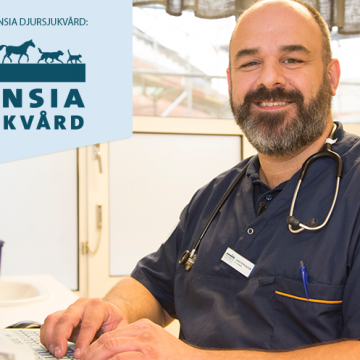 Fråga Veterinären