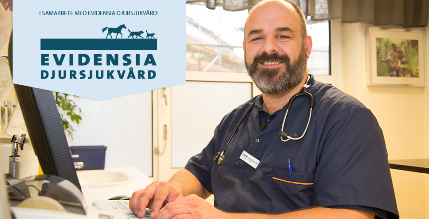 Fråga Veterinären