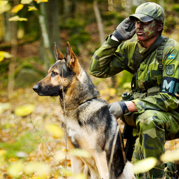 Testa HLR för hund