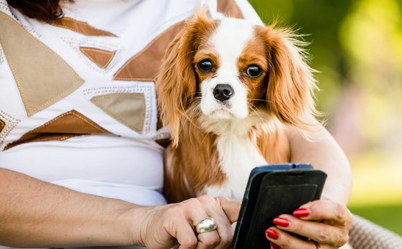 Nu kan du visa vaccinationsintyg digitalt