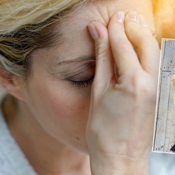 Gatuhund blev Sveriges första migränhund