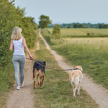 Ny lag om promenad