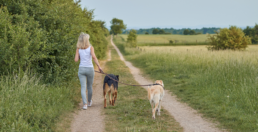 Ny lag om promenad