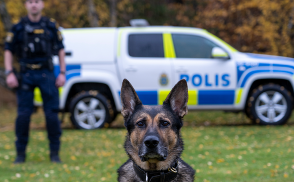 Izor - Årets polishund