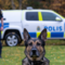 Izor – Årets polishund