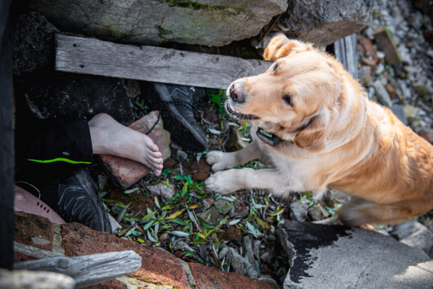 Hundresurs Sundsvall hittar försvunna personer