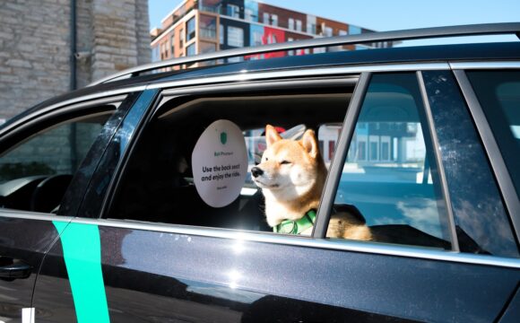 Lättare att boka taxi med hund