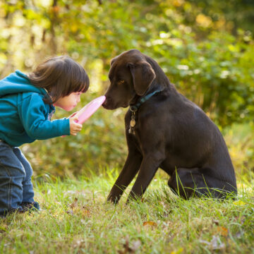 Hunden förstår oss bättre än någon annan