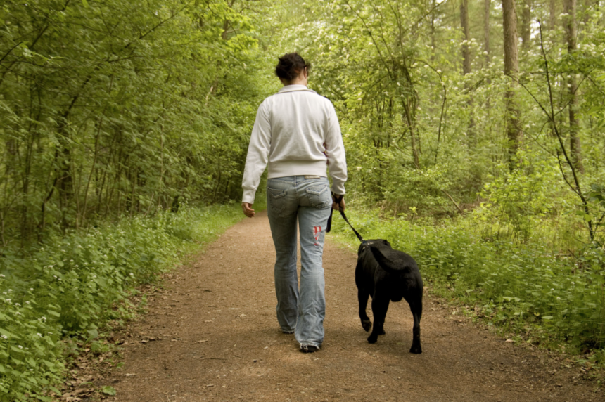 Hundpromenad för hjärtats skull