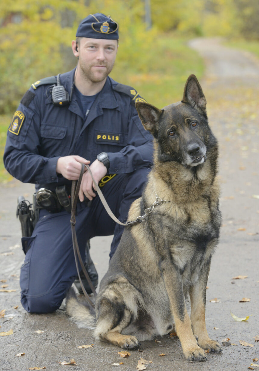 Möt Äxit – Årets polishund
