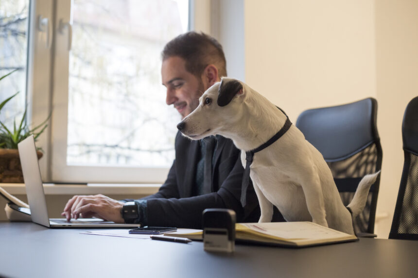 Hunden kan avgöra vid rekrytering