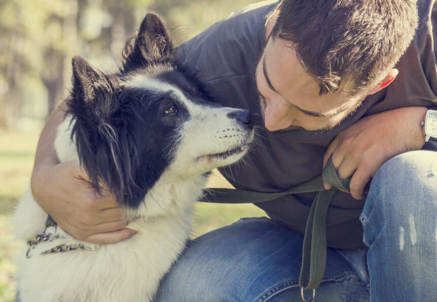 Hundägare mindre deppiga under pandemin