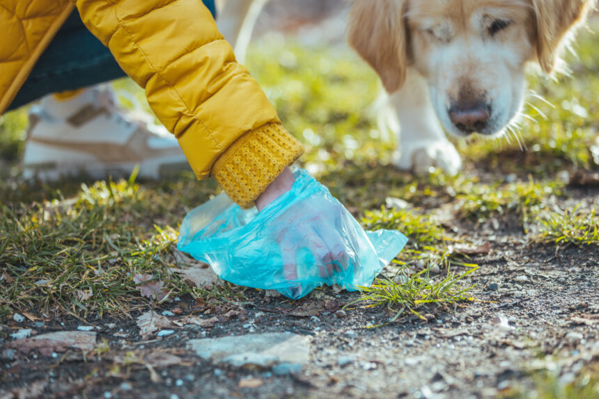 Hundbajs hotar biologiska mångfalden