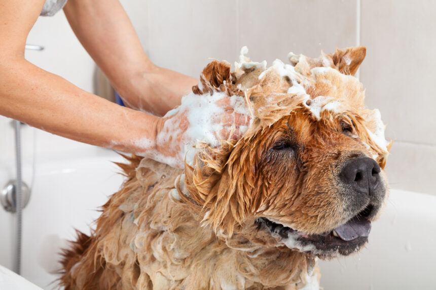 8 tips för att underlätta badet