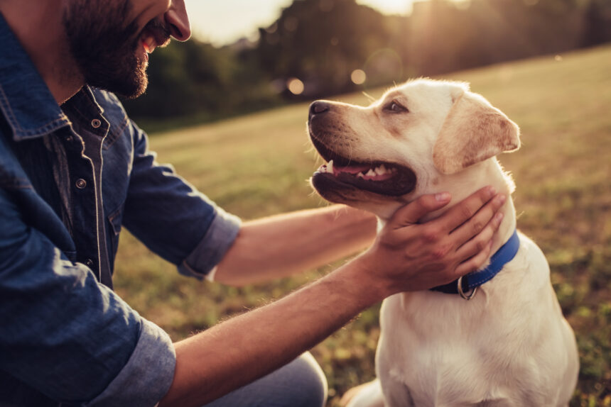 Män vinner mest på att ha hund